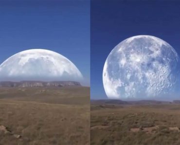 WATCH: A video showing the moon near the North Pole eclipsing the sun has gone popular on the internet.