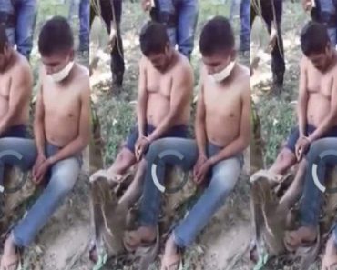 Tiktok : ‘No Mercy In Mexico’ Disturbing Viral Video On Tiktok 