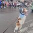 Netizens were awestruck after seeing Dexter, a dog walking on two legs. 