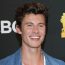 Shawn Mendez to focus on mental health, postpones the dates of the tour.