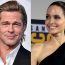 What is the vineyard dispute going on between Angelina Jolie and Brad Pitt?