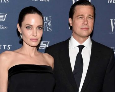 Angelina Jolie was the one behind the unnamed charges of assault against Brad Pitt